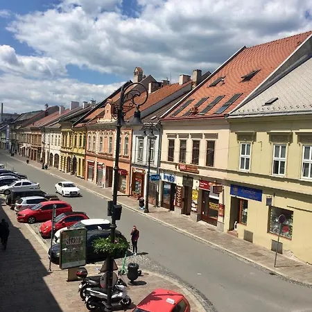 Ela Centre Apartman *